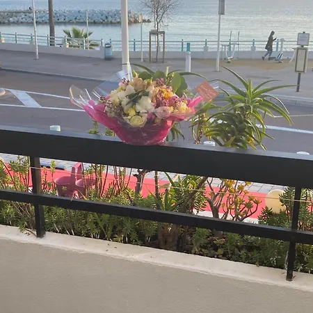 Front De A -vue & Terrasse *