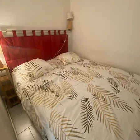 Front De A -vue & Terrasse * Cannes