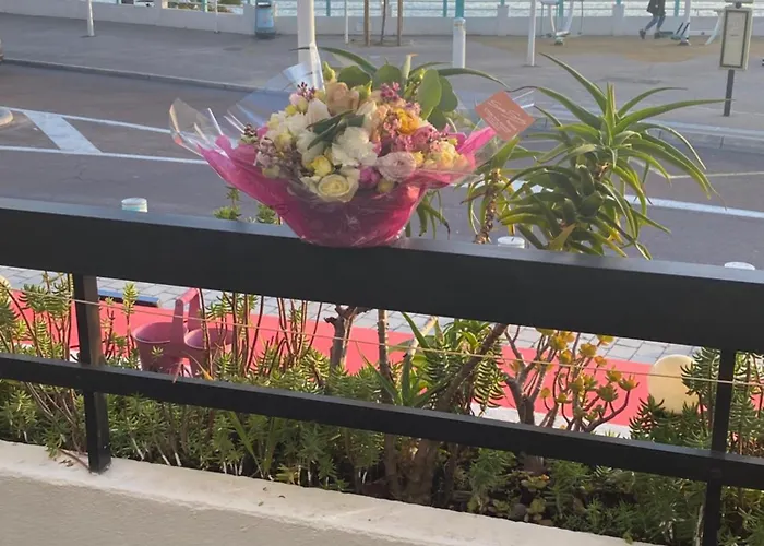 Front De A -vue & Terrasse *